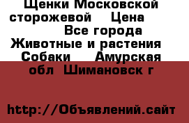 Щенки Московской сторожевой  › Цена ­ 25 000 - Все города Животные и растения » Собаки   . Амурская обл.,Шимановск г.